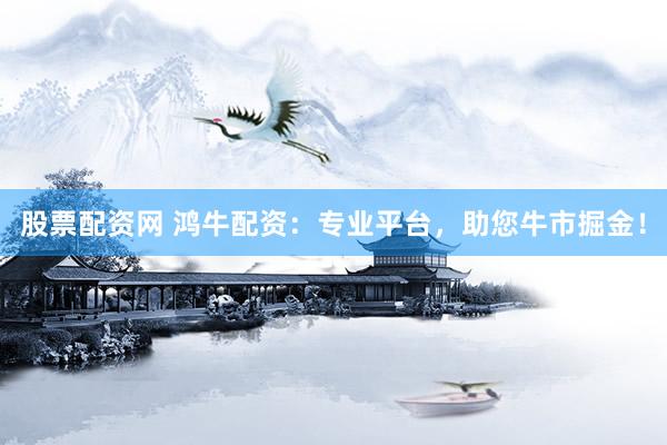 股票配资网 鸿牛配资：专业平台，助您牛市掘金！