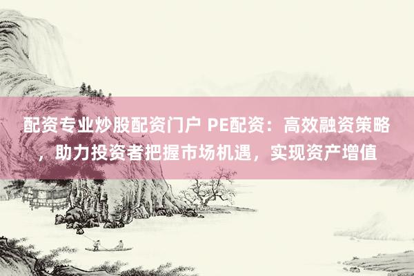 配资专业炒股配资门户 PE配资：高效融资策略，助力投资者把握市场机遇，实现资产增值