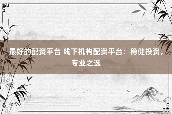最好的配资平台 线下机构配资平台：稳健投资，专业之选