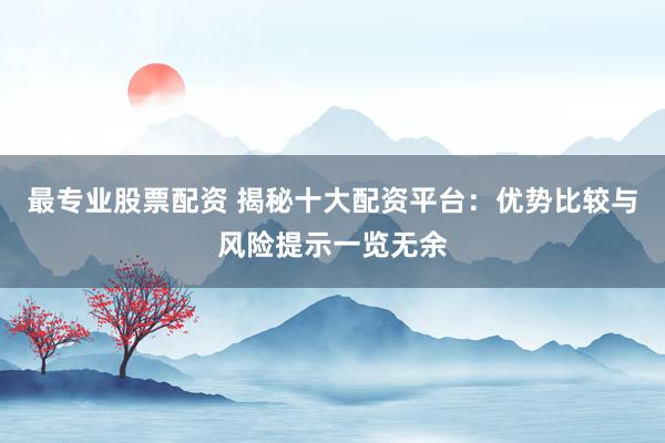 最专业股票配资 揭秘十大配资平台：优势比较与风险提示一览无余