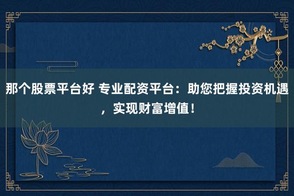 那个股票平台好 专业配资平台：助您把握投资机遇，实现财富增值！