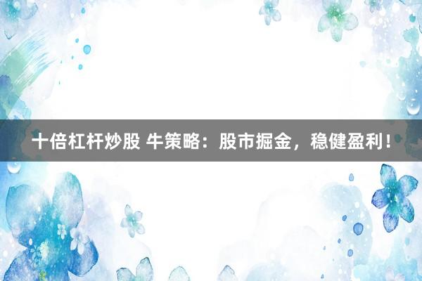 十倍杠杆炒股 牛策略：股市掘金，稳健盈利！