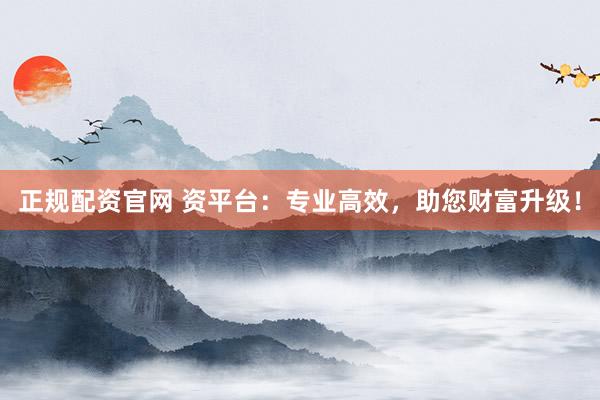 正规配资官网 资平台：专业高效，助您财富升级！