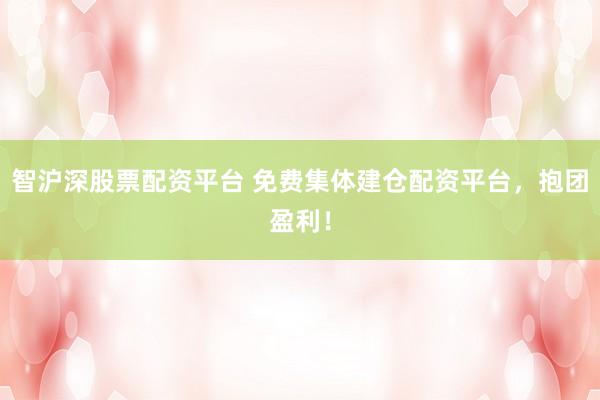 智沪深股票配资平台 免费集体建仓配资平台，抱团盈利！