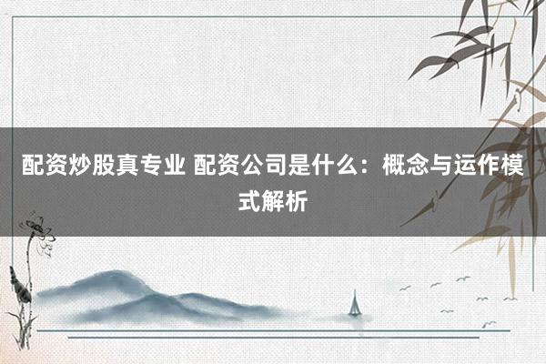 配资炒股真专业 配资公司是什么：概念与运作模式解析