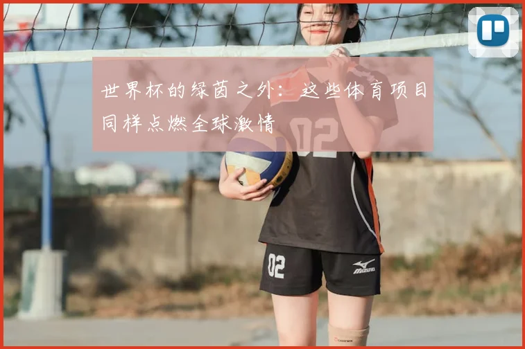 世界杯的绿茵之外：这些体育项目同样点燃全球激情