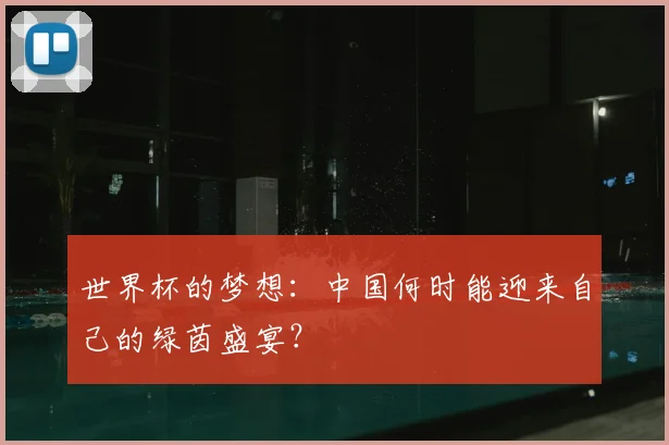 世界杯的梦想:中国何时能迎来自己的绿茵盛宴?
