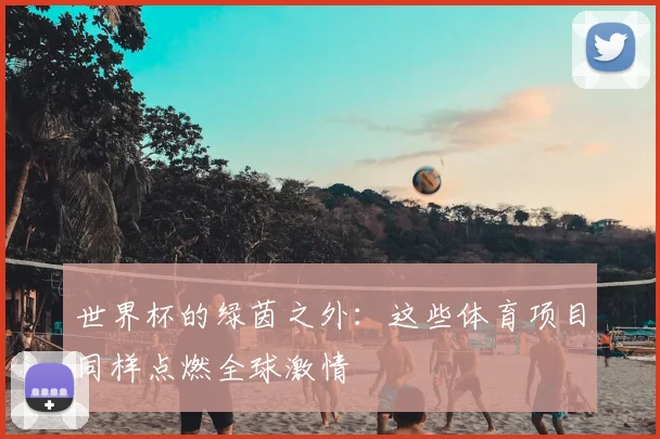 世界杯的绿茵之外：这些体育项目同样点燃全球激情